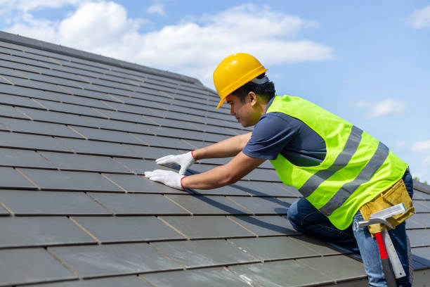 Best Roof Gutter Cleaning  in Clever, MO