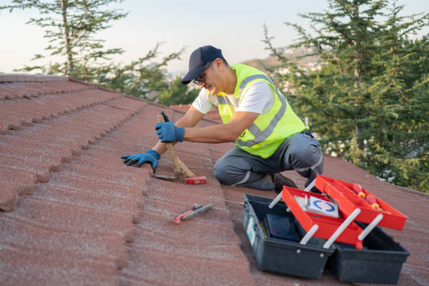 Best Local Roofing Companies  in Clever, MO